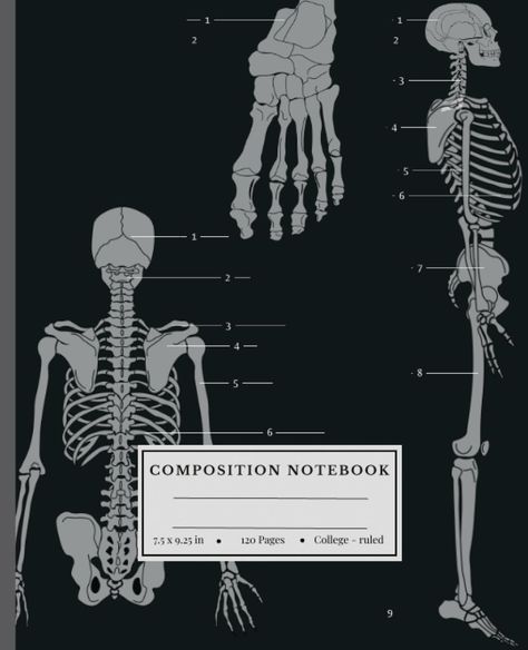 Composition Notebook College Ruled: Vintage Human Anatomy Medical Illustration: Med School Student Gift Journal | Wide Lined: Plus, Medical Essentials: Amazon.com: Books Anatomy Medical Illustration, Medical Essentials, Med School Student, Notebook Collection, Anatomy Medical, Book Cover Design Template, School Book Covers, School Journals, Gift Journal