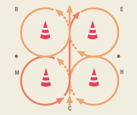 Incorporating simple traffic cones or ground poles in your daily training and riding lessons not only provides visual interest and physical guidelines for your horse as he moves around the r… Barrel Drills, Equine Exercises, Equestrian Training, Horse Obstacles, Horses Stuff, Riding Exercises, Horse Exercises, Horse Facts, Simple Exercise