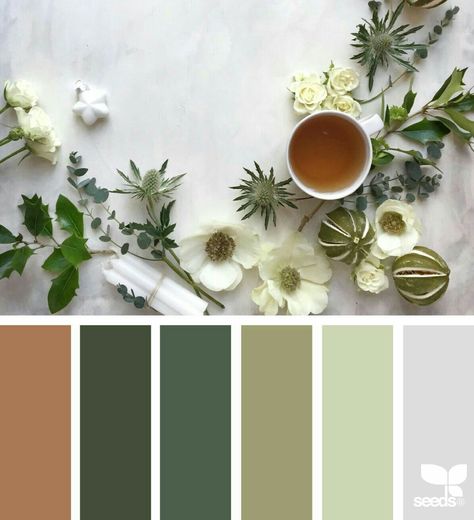 Hi all! Today we have a rust/terracotta with a light grey, forest green, olive & celery. Enjoy! Colour Crush, Color Coordination, Palette Design, House Color Schemes, Grey Color Scheme, Bedroom Color Schemes, Purple Design, Design Seeds, Bedroom Colors