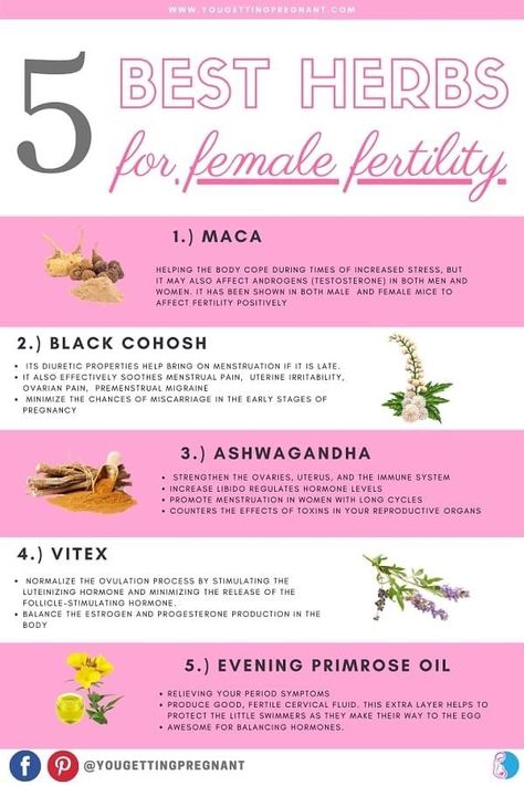 Herbs For Fertility, Fertility Vitamins, How To Increase Fertility, Increase Fertility, Fertility Supplements, Womb Healing, Fertility Foods, Fertility Health, Female Fertility