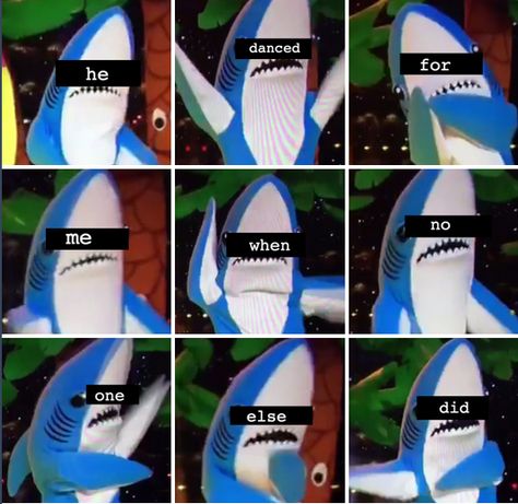 And, finally, when Left Shark gave all of us the strength to get through another day: | The 23 Most Important Moments In Left Shark History Shark Meme, Left Shark, Smosh, Clean Humor, Inside Jokes, Animal Quotes, Funny Pranks, Sharks, Best Memes