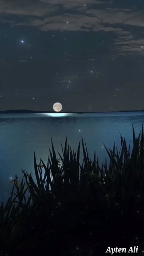 Peaceful Night Aesthetic, Goodnight Gifs, Moon Gif, Bisous Gif, Good Night Beautiful, Relaxing Gif, Fairy Stories, Aviator Hat, Morning Gif