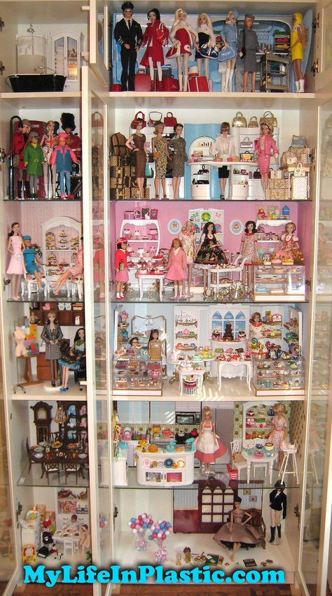 MyLifeInPlastic.com Doll Diorama Cabinets of Wonder | Flickr - Photo Sharing! Barbie Display Ideas, Barbie Doll Display, Doll Display Ideas, Barbie Display, Collector Barbie, Doll Rooms, Doll Diorama, Park Slope Brooklyn, Diy Barbie House