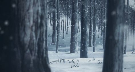 Kny Background Scenery, Demon Slayer Header, Kny Background, Gacha Background, Gacha Backgrounds, Anime Places, Scene Background, Snow Forest, Forest Background