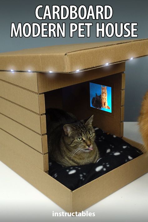 Katt Hus, Cardboard Cat House, Chat Diy, Bike Challenge, Cat House Diy, Koci Humor, Cardboard House, Pet House, Halloween Contest