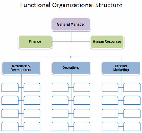 Business Organization Chart | Organizational Chart Template Organisational Structure, Organisation Chart, Organizational Chart Template, Organizational Chart Design, Diagram Template, Champagne Gown, Flow Chart Template, Organization Chart, Org Chart