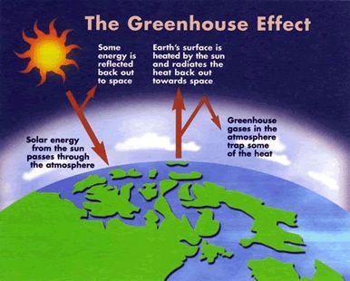 The choices we make today will decide the climate of the future. Please note we have always had some global warming, but now our atmosphere can't keep up. Green House Effect Science, Green House Effect Science Project, Green House Gases, Melting Ice Caps, Pollution Poster, What Is A Conservatory, Problem Solution Essay, High School Social Studies, Human Environment