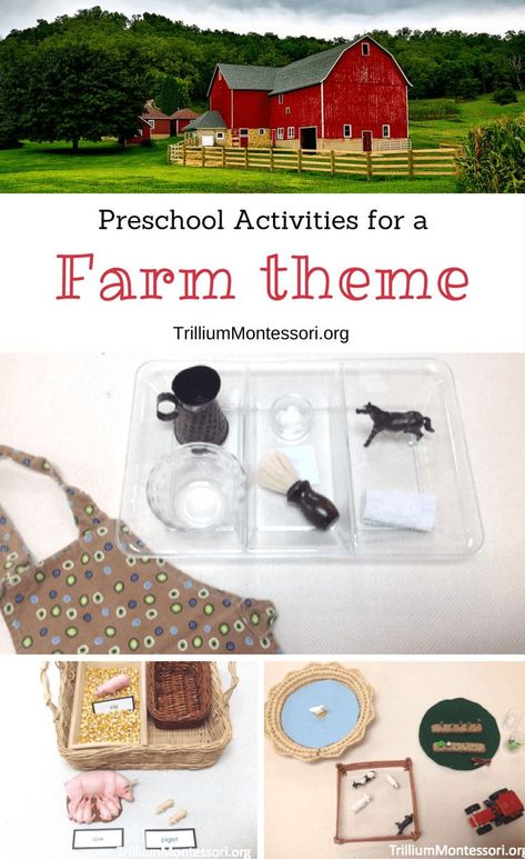 12+ simple activities to add to your preschool shelves for a farm theme! A few years ago we offered weekly summer camps at our school. The pace of the day Farm Animals Preschool Activities, Preschool Shelves, Farm Montessori, Animals Preschool Activities, Farm Unit Study, Homeschool Themes, Preschool Summer Camp, Preschool Farm, Farm Animals Preschool