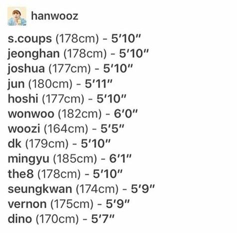 Seventeen's height. I've read that Woozi is 5' 2" Mingyu Woozi Height, Seventeen Height, Woozi Height, Seventeen Ideal Type, Seventeen Memes, J-pop Music, Diamond Life, All About Kpop, Dance Kpop