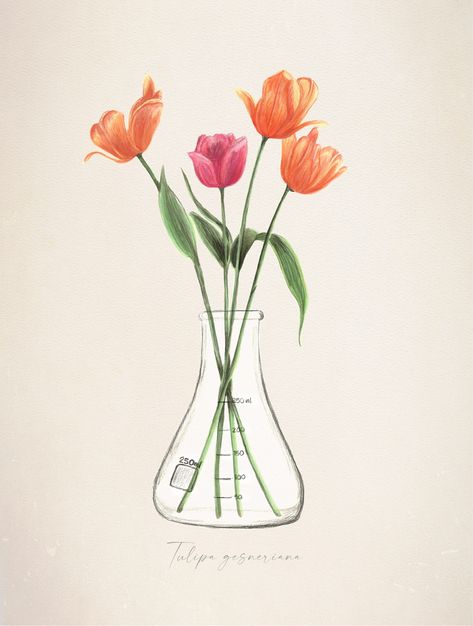 Erlenmeyer Flask Flower Tattoo, Flask Tattoo, Botanical Science, Tiny Tats, Erlenmeyer Flask, Detailed Art, Science Illustration, Tulip Flower, Art And Illustration