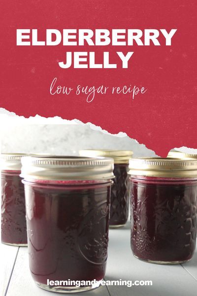 Jelly doesn't have to contain so much sugar as long as you use the right pectin. With this recipe, you can use much less sugar, or even sweeten with maple syrup! #foraging #jelly #preservingtheharvest #homesteading #natural #realfood Elderberry Jelly Recipe, Elderberry Jelly, Wild Cooking, Preparedness Ideas, Elderberry Juice, Homestead Kitchen, Canning Jam, Homegrown Food, Jelly Recipe