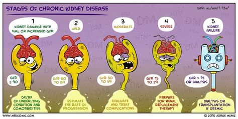 Disease Poster, Study Medicine, Nursing Cheat, Medical Mnemonics, Nursing Mnemonics, Family Nurse Practitioner, Critical Care Nursing, Chronic Kidney, Nursing School Studying