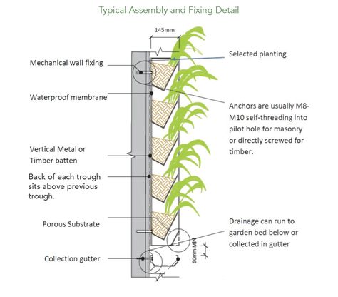 Meristem Design | Sustainable Living Walls & Modular Green Wall Systems Vertical Garden Systems, Vertical Green Wall, Wall Section Detail, Vertical Garden Plants, Living Green Wall, Green Wall Design, Garden Wall Designs, Timber Battens, Vertical Garden Design