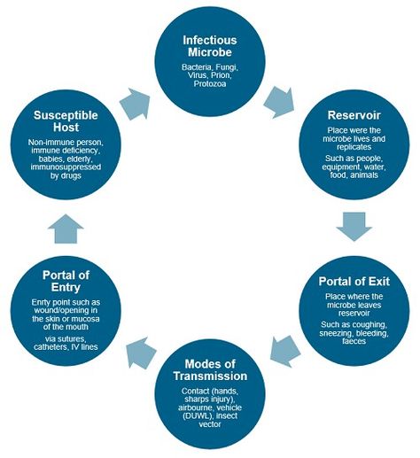 Chain of Infection Infection Prevention Nursing, Chain Of Infection, Infection Control Nursing, Memory Notebook, Nursing Instructor, Care Giver, Nurse Study, Health Information Management, Evaluation Employee