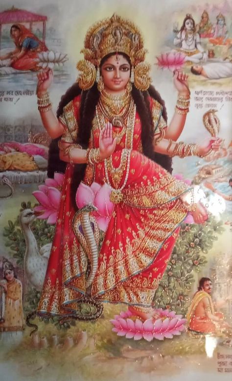 🐍 Maa Manasa Devi 🐍 Madhura Meenakshi Devi, Mansha Devi, Serpent Goddess, Maa Manasa, Manasa Devi, Maa Kali Photo, Adi Shankaracharya, Kali Maa, Durga Picture