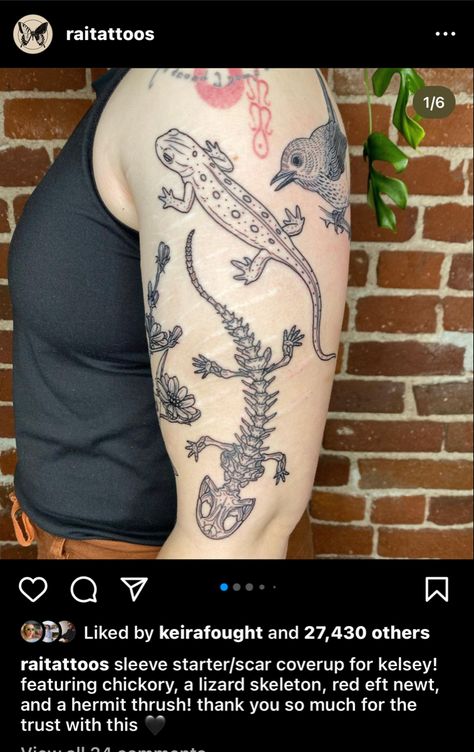 Eastern Newt Tattoo, Lizard Skeleton Tattoo, Newt Tattoo, Animal Skeleton Tattoo, Salamander Tattoo, Tattoo Skeleton, Print Making Designs, Axolotl Tank, Lizard Tattoo