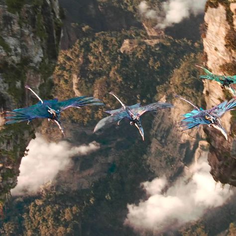 Pandora Scenery, Avatar Visualization, Avatar Pandora Aesthetic, Neteyam Aesthetic, Pandora Avatar Aesthetic, Avatar Aesthetic Pandora, Avatar Environment, Avatar Visuals, Pandora Forest