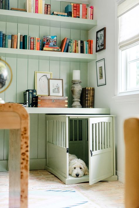 Sage Green Bookshelf, Dog Playroom, Dog Nook Ideas, Green Bookshelf, Green Bookshelves, Dog Nook, Puppy Running, Southwest Chic, Chic Home Office