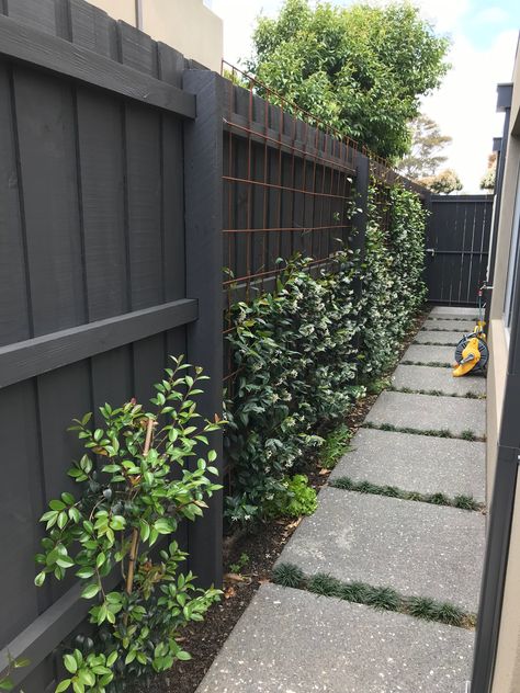 Narrow Small Backyard Ideas, Moody Front Yard, Narrow Side Of House Ideas, Side Garden Ideas Narrow, Star Jasmine Fence, Cheap Privacy Fence Ideas, Fence Planting, Townhouse Front Yard Landscaping, Fence Ideas Garden