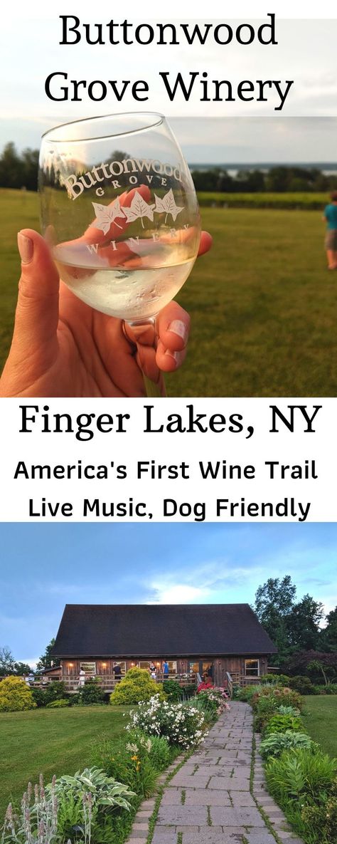 Dog-friendly winery on America's oldest wine trail in the Finger Lakes of NY. Live music, outside food and dog friendly Dog Friendly Finger Lakes, Finger Lakes Ny, Cayuga Lake, Lake Fun, Finger Lakes, Lake Vacation, Lake Trip, Wine Trail, Walk In The Woods