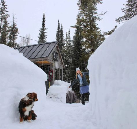 How to Stay Warm and Toasty in an Off-Grid Tiny Home When You Live in a Cold Climate Coat And Shoe Storage, Wyoming Mountains, How To Stay Warm, Off Grid Tiny House, Off Grid Homestead, Tiny House Blog, English Shepherd, American Houses, Types Of Insulation