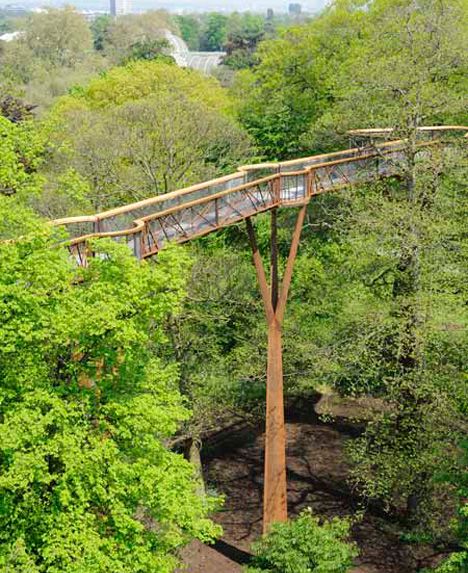 Bridge to Photosynthia Walking Bridge, Sky Walk, Pedestrian Walkway, Wooden Bridge, Tree Canopy, Tree Top, Pedestrian Bridge, Bridge Design, Kew Gardens