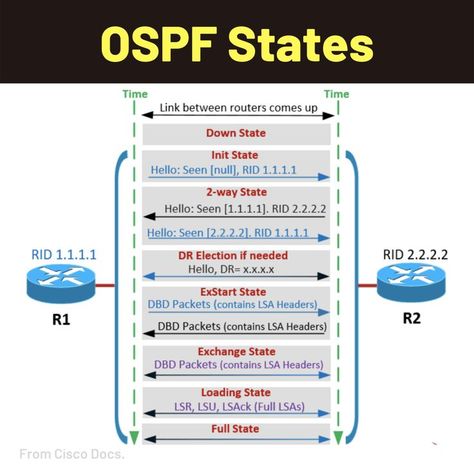 OSPF Neighborship States Computer Networking Basics, Cisco Networking Technology, Tech Infographic, Networking Basics, Cisco Networking, Network Engineer, Computer Basics, Network Security, Computer Hardware