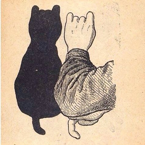 Wordless Wednesday #wordlesswednesday #vintageillustration #cat #shadowpuppet #shadowpuppetcat Shadow Puppets With Hands, Cat Shadow, Hand Shadows, Shadow Theatre, Shadow Art, A Black Cat, Shadow Play, Shadow Puppets, Cats Illustration