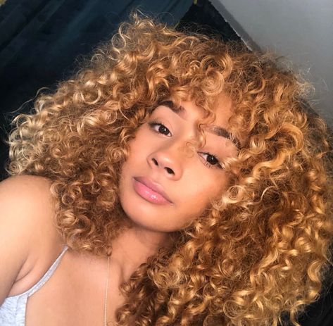 Putple Hair, Curly Natural Curls, Honey Blonde Hair Color, Dyed Curly Hair, Brown Hair Dye, Colored Curly Hair, Dyed Natural Hair, Honey Blonde Hair, Hairdos For Curly Hair