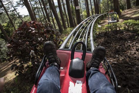 Top 6 Outdoor Activities in Pigeon Forge to Do With Your Family Nantahala Outdoor Center, Gatlinburg Tennessee Vacation, Mountain Coaster, Ober Gatlinburg, Alpine Coaster, Gatlinburg Vacation, Smoky Mountains Vacation, Tennessee Travel, Fun Outdoor Activities