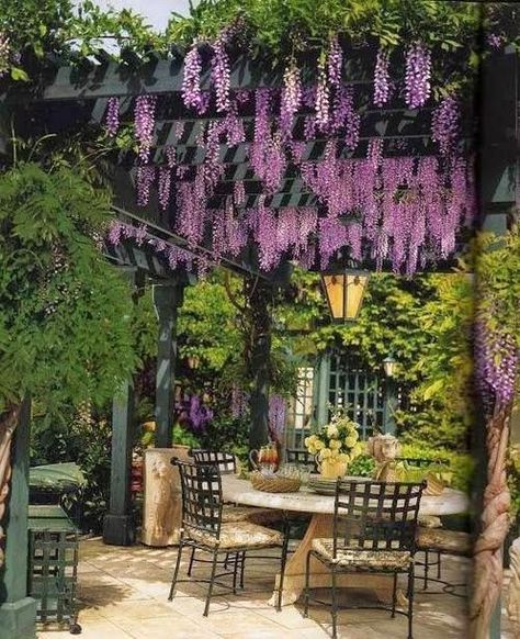 Pergola Modern, Building A Pergola, Garden Vines, Pergola Design, Backyard Pergola, Covered Pergola, Patio Landscaping, Pergola Plans, Diy Pergola