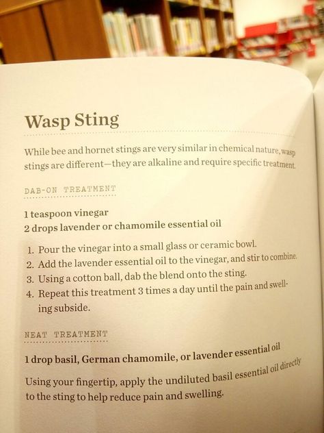 Baking Soda Paste For Bee Sting, Essential Oil For Wasp Sting, Bee Sting Remedy Essential Oils, Essential Oils For Wasp Stings, Essential Oil Wasp Sting, Natural Bee Sting Remedy, Essential Oils For Bee Stings, Wasp Sting Remedy Swelling, Wasp Stings Relief