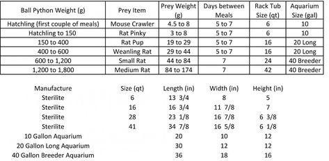 ball python feeding-caging chart Ball Python Pet, Ball Python Care, Small Rat, Reptile Care, Ball Python Morphs, Ball Pythons, Pro Evolution Soccer, Pet Ideas, Animal Room