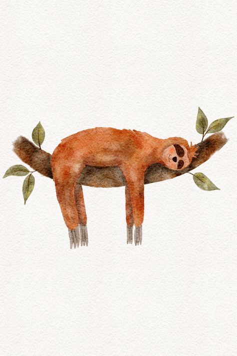 Watercolor illustration of cute sleeping sloth on a branch, tropical animal drawing isolated in white background Sloth Watercolor Paintings, Sleeping Animal Drawing, Sloth Watercolor, Watercolor Sloth, Sloth Illustration, Sloth Drawing, Water Color Markers, Sloth Sleeping, Background Animal