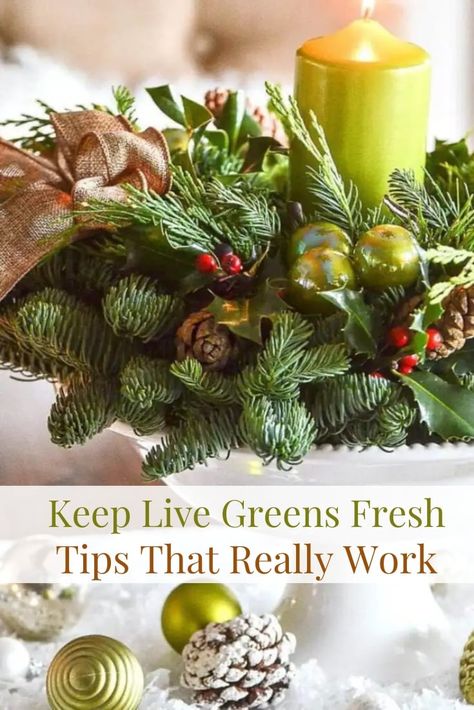 You can use FRESH EVERGREENS to decorate your Christmas home. With just a few tips that really work, you can enjoy them for the holidays! Fresh Christmas Wreath, Christmas Greens, Fresh Wreath, Christmas Color Palette, Green Wreath, Christmas Greenery, Christmas Arrangements, Indoor Christmas, Christmas House