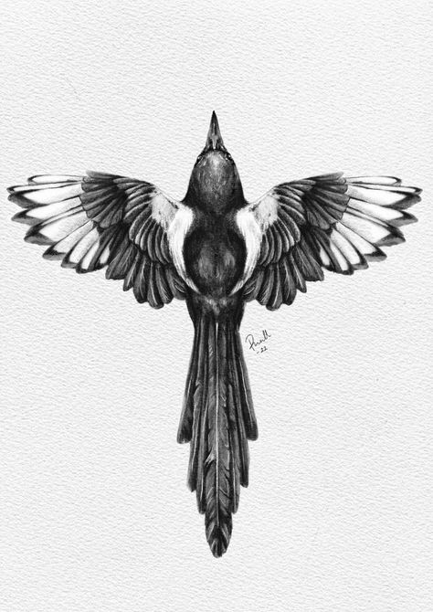 Bird Stomach Tattoo, Magpie Tattoo, Birdcage Tattoo, White Bird Tattoos, Swallow Tattoo Design, Magpie Art, Vogel Tattoo, Throat Tattoo, Swallow Tattoo