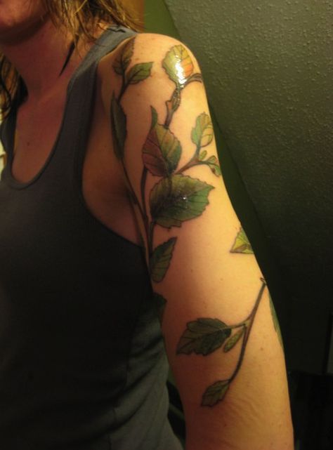 https://flic.kr/p/8ztQRc+|+My+new+tattoo+|+Birch+tree+branches+ Birch Tree Branches, Birch Tree Tattoos, Herb Tattoo, Tree Branch Tattoo, Best Cover Up Tattoos, L Tattoo, Branch Tattoo, Botanical Tattoo, Henna Patterns