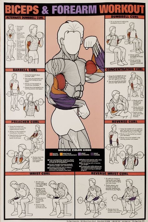 Machine Upper Body Workout, Calisthenics Workout Plan, Gym Poster, Gym Workout Chart, Gym Machines, Abs And Cardio Workout, Calisthenics Workout, Workout Chart, Body Workout Plan