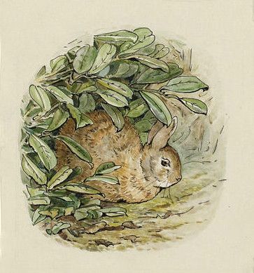 Peter Rabbit Illustration, Rabbit Icon, Beatrix Potter Illustrations, Rabbit Illustration, Potter Art, Rabbit Art, Victoria And Albert, Beatrix Potter, Peter Rabbit