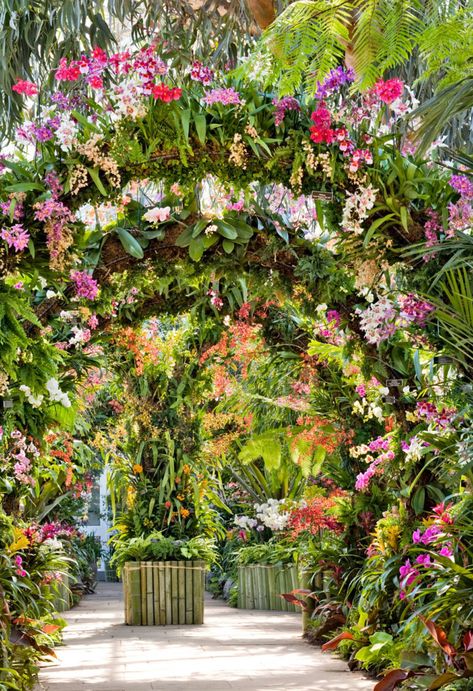 Indian Bungalow, Floral Exhibition, Orchid Room, Tropical Backyard Landscaping, Hanging Orchid, Orchid House, Events Place, Orchid Show, Tropical Backyard