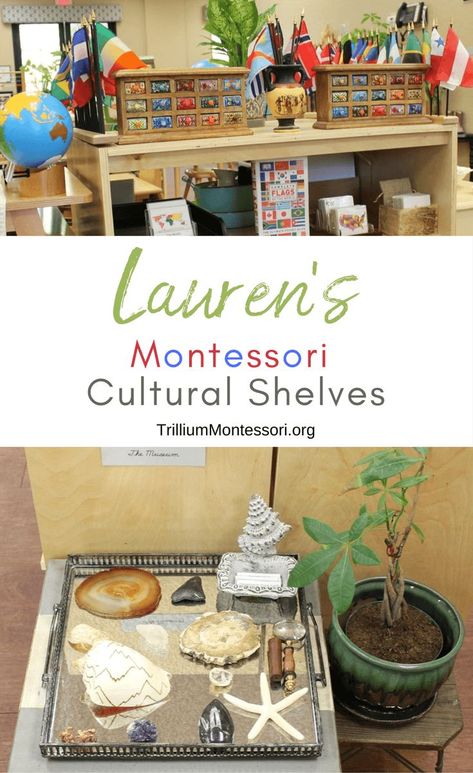 A tour of Lauren's Montessori science geography and cultural area Beautiful Montessori Classroom, Montessori Cultural Shelves, Montessori Science Shelf, Montessori Elementary Classroom, Montessori Shelves, Beautiful Classroom, Childhood Activities, Montessori Shelf, Montessori Science