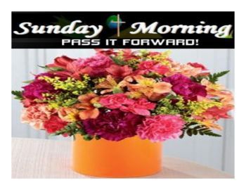 Sunday Morning Publication - 07/23/17 - DBE Community Outreach | Sunday Morning † Power Pack for People on the Go! (Open 24/7) | PASS IT FORWARD! ~ http://www.dailybreadexpress.com/Sunday.html Orange Carnations, Birthday Arrangements, Cylinder Ceramic, Loose Bouquet, Bright Bouquet, Mini Carnations, Flower Factory, Pink Glass Vase, Get Well Flowers