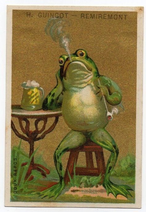 Old Fairytale Illustration, Frosch Illustration, Frog Illustration, Frog Pictures, Arte Peculiar, New Year Postcard, Frog Art, A Frog, Arte Sketchbook