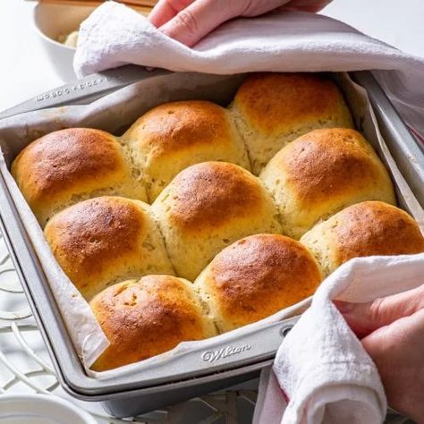 The Softest Gluten Free Dinner Rolls - The Loopy Whisk Bread Machine Gluten Free, Gluten Free Dinner Rolls Recipe, Gf Rolls, Holiday Rolls, The Loopy Whisk, Loopy Whisk, Gluten Free Dinner Rolls, Gluten Free Bread Machine, Gluten Free Rolls