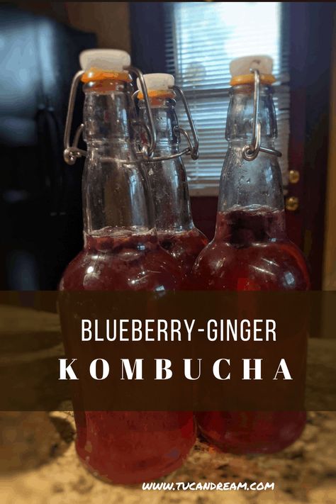 Blueberry Kombucha Recipe, Blueberry Kombucha, Ginger Kombucha, Best Kombucha, Kombucha Recipes, Kombucha Flavors, Healthier Eating Habits, How To Brew Kombucha, Homemade Kombucha