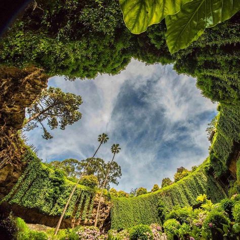 Umpherston Sinkhole isn't just a spectacular work of nature formed by millions of years’ limestone corrosion - it’s also a lush garden right in the heart of Discover Mount Gambier! Photo: @simeyrocks (via IG) in the Limestone Coast #SeeSouthAustralia Umpherston Sinkhole, Mount Gambier, Birthday Trip, Beautiful Images Nature, Vision Boards, Environmental Design, People Online, Lush Garden, My Town