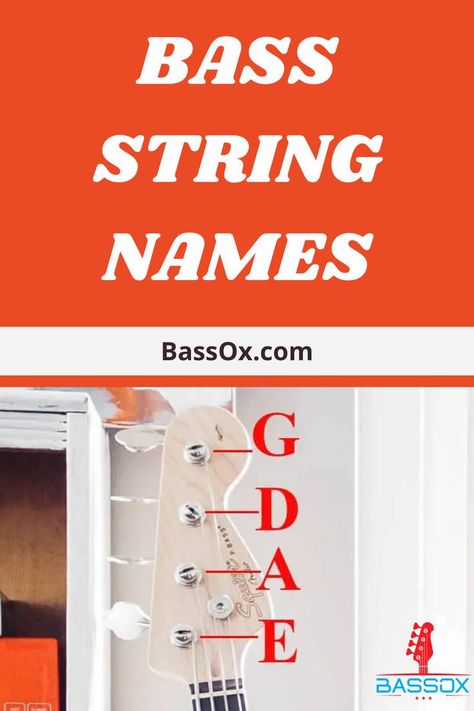 headstock of bass guitar with the name of each string explained Bass Guitar Chords, Bass Players, Guitar Tips, Bass Player, Guitar Chords, Simple Tricks, Music Quotes, Bass Guitar, Bass