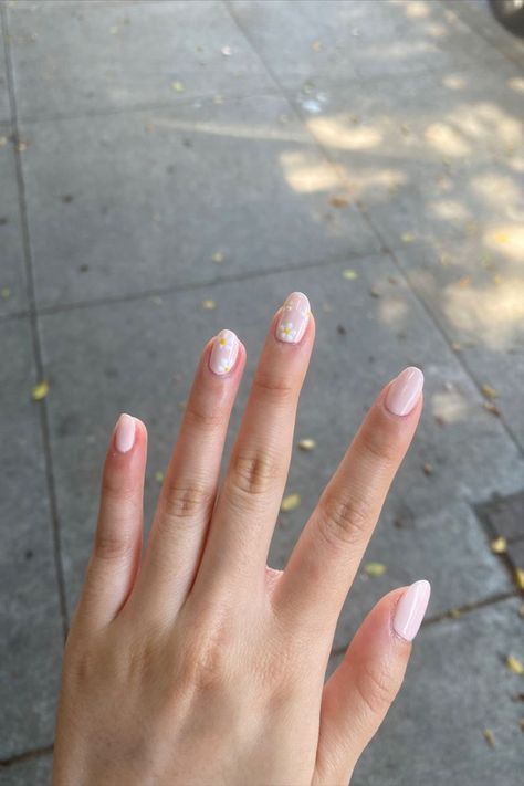 Pink Nails With Daisies, Nails With Daisies, Manicure Nail Designs, Daisy Nails, Pink Daisy, Accent Nails, Nail Manicure, Spring Nails, Pink Nails