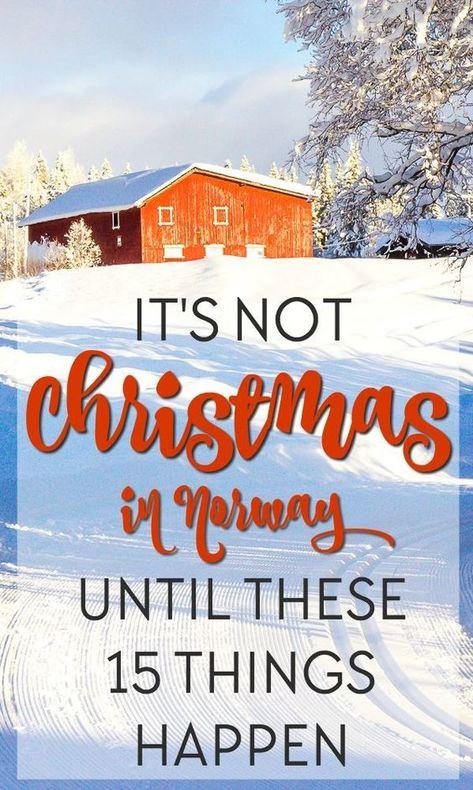 Christmas in Norway is so, well, Norwegian! But it's not Christmas until .... Norwegian Christmas Decorations, Christmas In Norway, Norwegian Lifestyle, Nordic Xmas, Norwegian Ancestry, Norway Christmas, St Lucia Day, Viking Christmas, Advent Wreaths