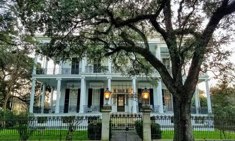 BUY THE ULTIMATE TRAVEL LIST Ahs Coven House, Weekend In New Orleans, New Orleans Garden District, Ahs Coven, New Orleans Hotels, American Horror Story Coven, Live Oak Trees, Garden District, Top Hotels